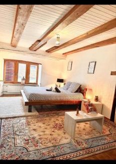 Delemont Apartamento | Le Spacieux en vieille ville