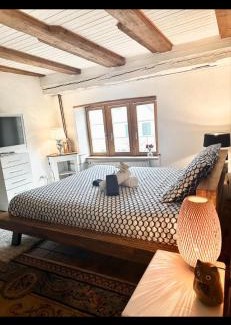 Delemont Apartamento | Le Spacieux en vieille ville