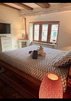 Delemont Apartamento | Le Spacieux en vieille ville