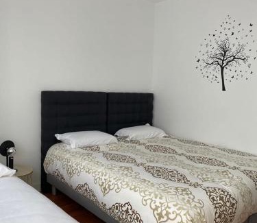 Longeville-les-Metz Apartamento | Le Stade Metz 1 Wifi Un Séjour à Part