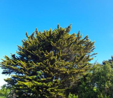 Saint-Pierre-d'Oleron Apartamento | Le Stud' à Saint Pierre d'Oléron !