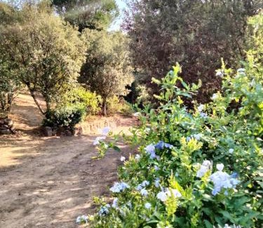 Porto-Vecchio Apartamento | Le studio
