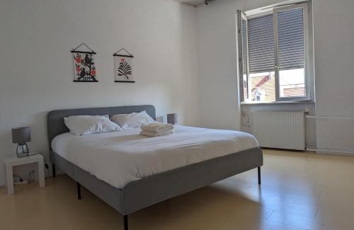 Mulhouse Apartamento | Le Thannois - appartement 2 chambres, salon, cuisine équipée, parking et wifi gratuit