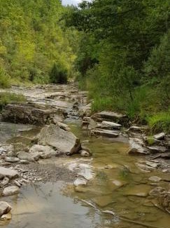 Montelovesco Apartamento | Le Tre Rose
