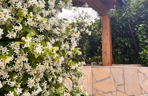 Maratea Cama Y Desayuno | Le Tre Rose