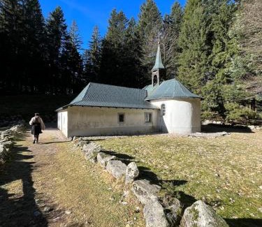 Ventron Chalet De Esquí | Le Vénérable, 4 étoiles, vue imprenable au coeur des Vosges
