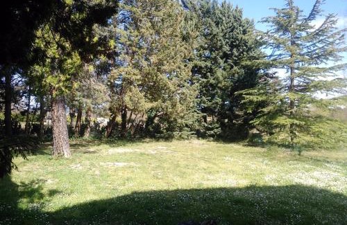 Carnas Cama Y Desayuno | Le Verger