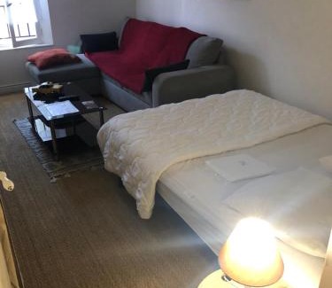 Aurillac Apartamento | Le Victor Hugo 3D et sa pizza offerte