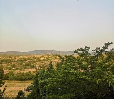 Lagorce Casa | le vieux mas du domaine de Pontet-Fronzele