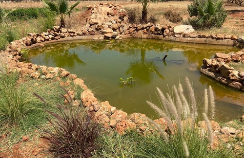 Ain Chkef Casa | Le village des oliviers