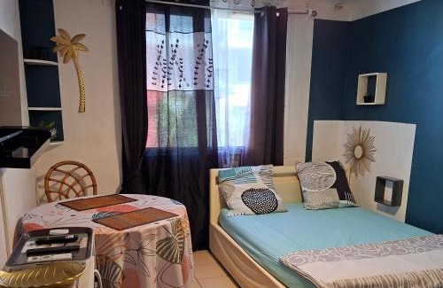 Saint-Pierre De La Reunion Apartamento | Le Voyageur à 1 mn du CHU Sud Terre-Sainte, Saint-Pierre