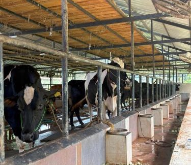 Palakkad Casa | Lead Farm Stay