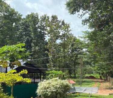 Palakkad Casa | Lead Farm Stay