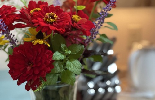 Nashua Apartamento | Leaf Peeper's Garden Apartment