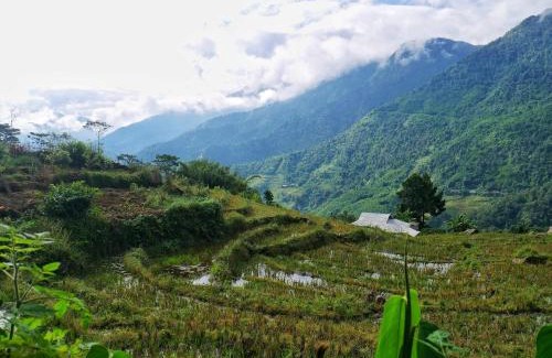 Sa Pa Casa | Lee's Charm Homestay