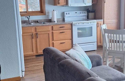 Whipholt Cabina | Leech lake cabin with gorgeous views! 2br/2ba pet friendly!