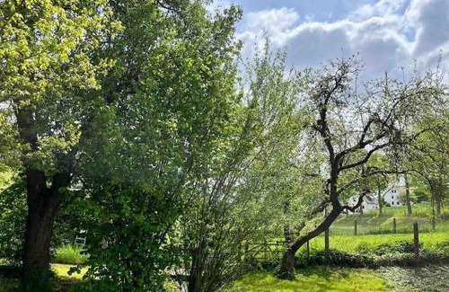 Gillersheim Casa | Lehm-Fachwerkhaus im Vorharz in der Landschaft