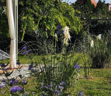 Balatonlelle Casa | Lelle Cottage