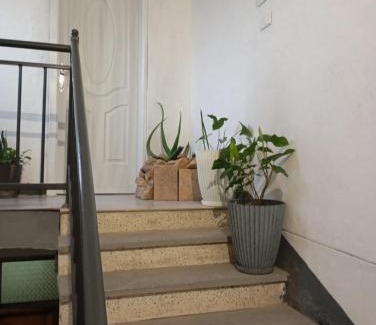Mek'ele Casa | Lemlem studio