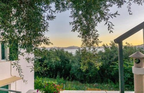 Nisaki Apartamento | Lemon Tree House