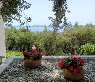 Nisaki Apartamento | Lemon Tree House