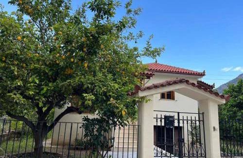 Leonidio Casa | Lemon Tree House