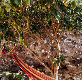 Barano d'Ischia Casa | Lemon Tree Rooms