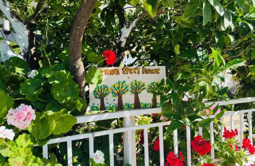 Kalavarda Casa | Lemon tree's house