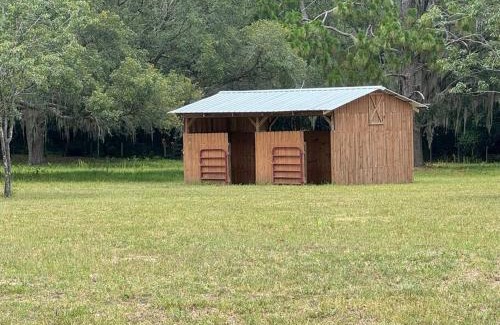 Ocala Casa | Lemonade Acres, Where Horses Stay for Free!