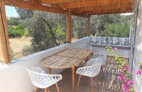 Sivas Apartamento | Lemonia Apartment with yard