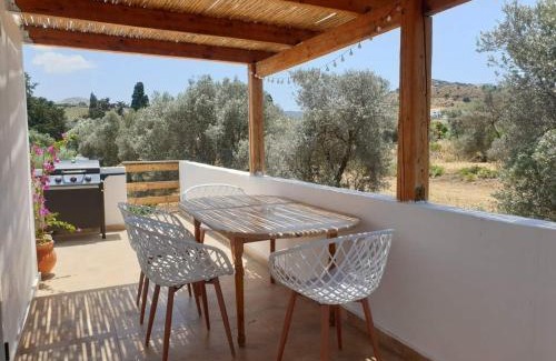 Sivas Apartamento | Lemonia Apartment with yard