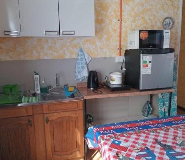 Punta Arenas Apartamento | Lenga