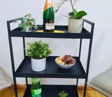 Traun Apartamento | Leon 3 wunderschönes neues Apartment
