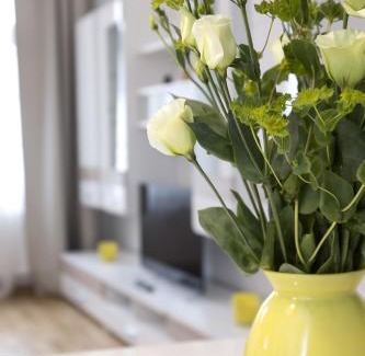 Zentrum-Nord Apartamento | Leon Suite Apartments