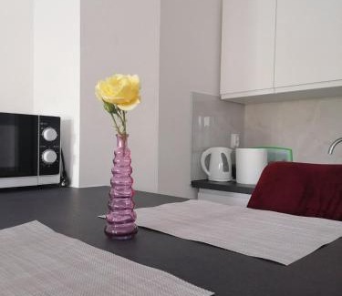 Vintijan Apartamento | Leona apartment Vidikovac, Pula
