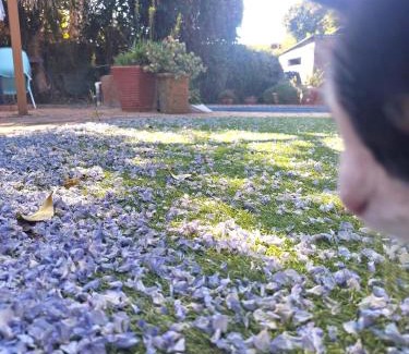 Potchefstroom Casa | Leopard Lily