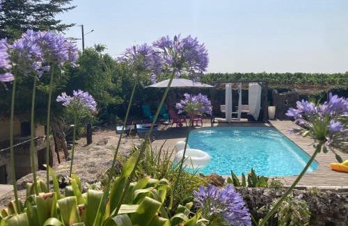 Montagne Apartamento | Les Agapanthes - Adult only