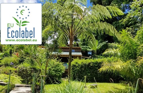 Saint-Claude Cabina | Les Bananes Vertes Ecolodges