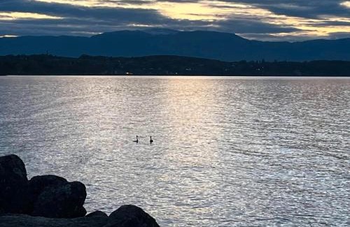 Sciez Otro | Les bord du Lac Leman