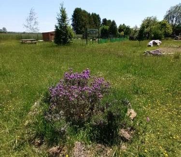 Foucheres Otro | Les Cabanes d'Hérande - Le Millésime