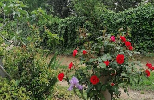 Beaucaire Casa | Les chênes verts