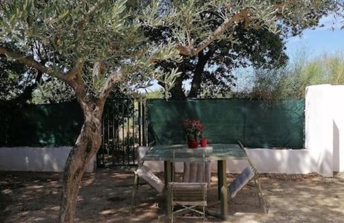 Beaucaire Casa | Les chênes verts