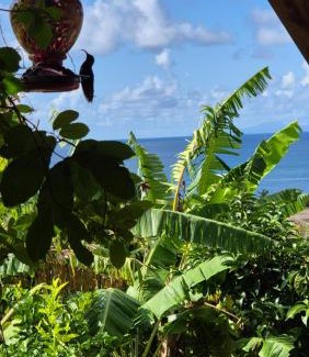 Riviere-Pilote Apartamento | Les chalets Colibris - Anse Figuier