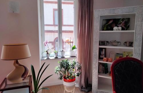Rodez Cama Y Desayuno | Les Chambres Hautes d'Anastasia