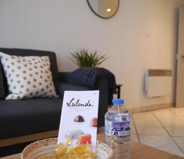 Saint-Pierre - Rene II - Bonsecours Apartamento | Les Cosy de Nancy - Le repère du roi stanislas 4étoiles