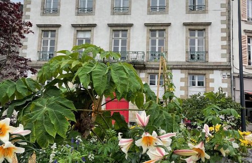 Morlaix Apartamento | les croix appartements