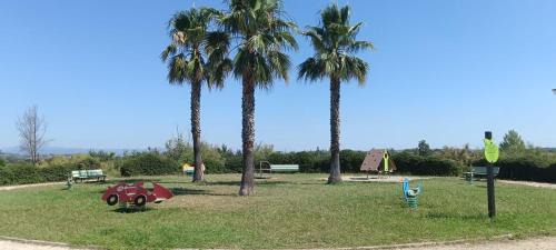 Beziers Complejo | Les