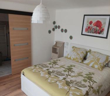 Laquenexy Casa | Les hirondelles