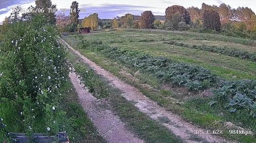 Le Thoronet Casa | Les Jardins de Castelange