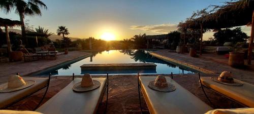 Ourika Casa | Les Jardins de Taja